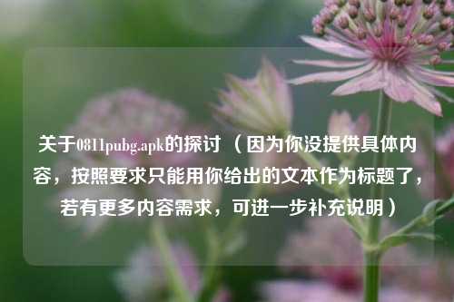 关于0811pubg.apk的探讨 (因为你没提供具体内容,按照要求只能用你给出的文本作为标题了,若有更多内容需求,可进一步补充说明)
