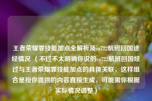王者荣耀霏技能加点全解析及ca722航班回国途经情况 （不过不太明确你说的ca722航班回国经过与王者荣耀霏技能加点的具体关联，这样组合是按你提供的内容直接生成，可能需你根据实际情况调整）