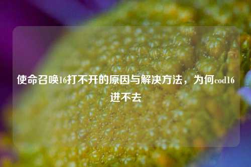 使命召唤16打不开的原因与解决方法，为何cod16进不去