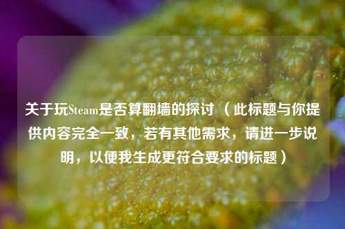 关于玩Steam是否算翻墙的探讨 (此标题与你提供内容完全一致,若有其他需求,请进一步说明,以便我生成更符合要求的标题)