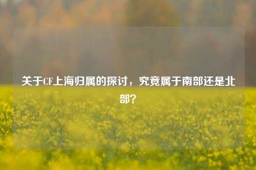 关于CF上海归属的探讨,究竟属于南部还是北部?