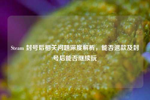 Steam 封号后相关问题深度解析,能否退款及封号后能否继续玩