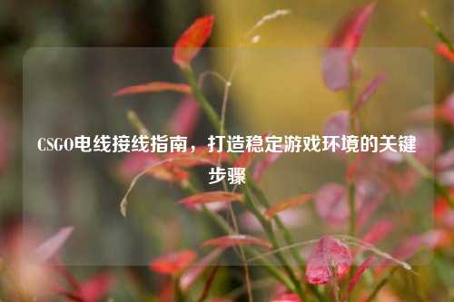 CSGO电线接线指南,打造稳定游戏环境的关键步骤