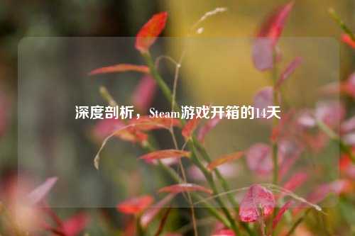 深度剖析,Steam游戏开箱的14天