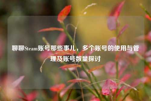 聊聊Steam账号那些事儿,多个账号的使用与管理及账号数量探讨