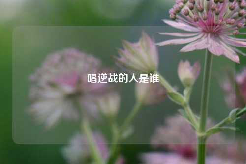 唱逆战的人是谁