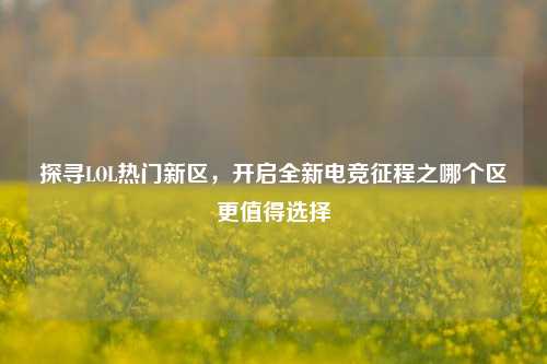 探寻LOL热门新区，开启全新电竞征程之哪个区更值得选择
