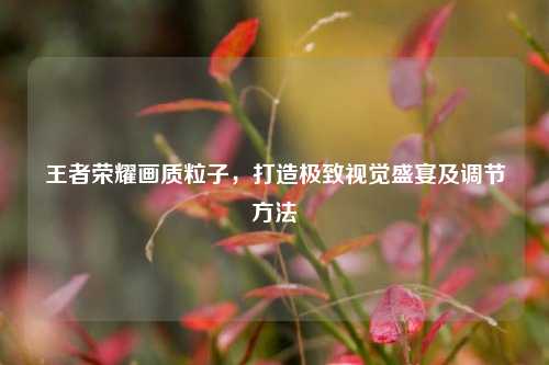 王者荣耀画质粒子，打造极致视觉盛宴及调节方法