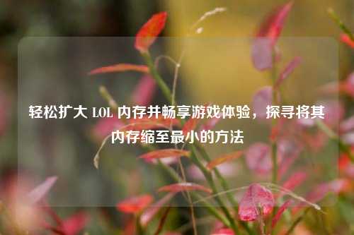 轻松扩大 LOL 内存并畅享游戏体验,探寻将其内存缩至最小的方法