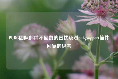 PUBG团队邮件不回复的困扰及对pubgsupport信件回复的思考