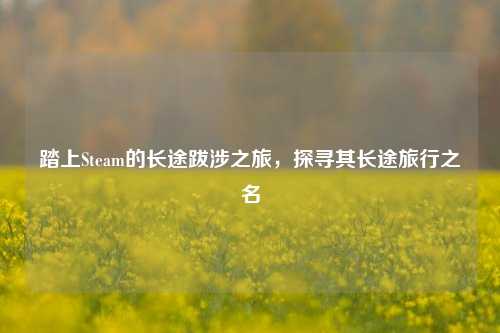 踏上Steam的长途跋涉之旅,探寻其长途旅行之名