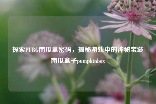 探索PUBG南瓜盒密码，揭秘游戏中的神秘宝藏南瓜盒子pumpkinbox
