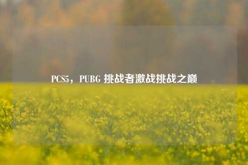 PCS5,PUBG 挑战者激战挑战之巅