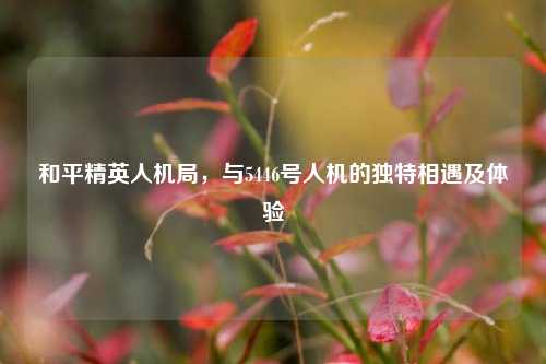 和平精英人机局，与5446号人机的独特相遇及体验