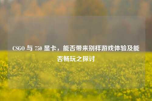 CSGO 与 750 显卡,能否带来别样游戏体验及能否畅玩之探讨