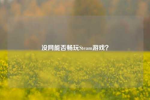 没网能否畅玩Steam游戏?