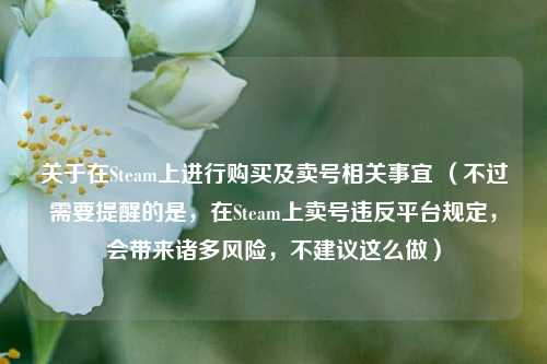 关于在Steam上进行购买及卖号相关事宜 (不过需要提醒的是,在Steam上卖号违反平台规定,会带来诸多风险,不建议这么做)