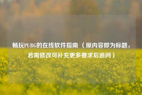 畅玩PUBG的在线软件指南 (原内容即为标题,若需修改可补充更多要求后追问)