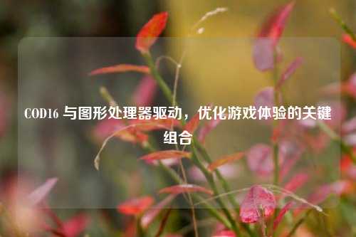 COD16 与图形处理器驱动,优化游戏体验的关键组合