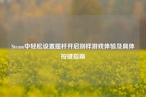 Steam中轻松设置摇杆开启别样游戏体验及具体按键指南