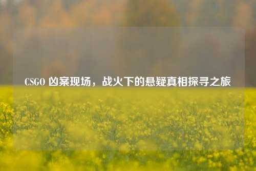 CSGO 凶案现场,战火下的悬疑真相探寻之旅