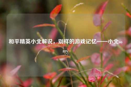 和平精英小北解说，别样的游戏记忆——小北sorry