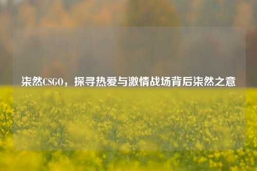 柒然CSGO,探寻热爱与激情战场背后柒然之意