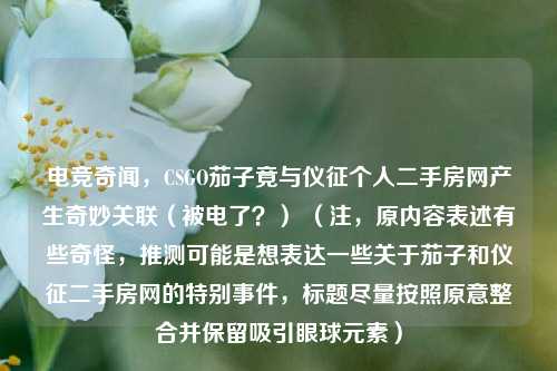 电竞奇闻,CSGO茄子竟与仪征个人二手房网产生奇妙关联(被电了?) (注,原内容表述有些奇怪,推测可能是想表达一些关于茄子和仪征二手房网的特别事件,标题尽量按照原意整合并保留吸引眼球元素)