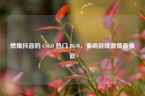 燃爆抖音的 CSGO 热门 BGM,奏响游戏激情最强音