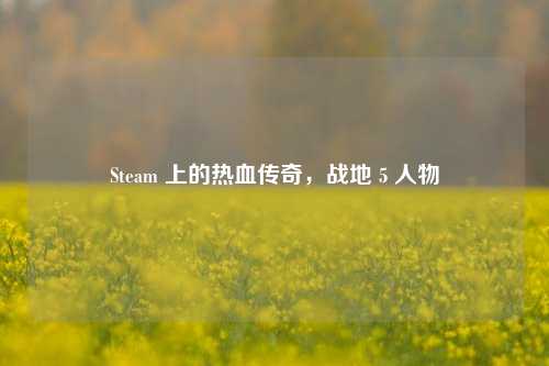 Steam 上的热血传奇，战地 5 人物