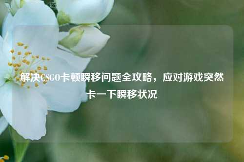 解决CSGO卡顿瞬移问题全攻略,应对游戏突然卡一下瞬移状况