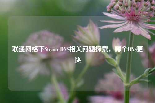 联通网络下Steam DNS相关问题探索，哪个DNS更快
