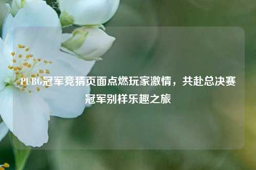 PUBG冠军竞猜页面点燃玩家激情，共赴总决赛冠军别样乐趣之旅