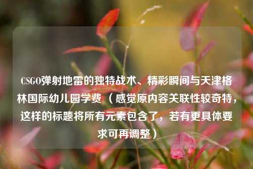 CSGO弹射地雷的独特战术、精彩瞬间与天津格林国际幼儿园学费 (感觉原内容关联性较奇特,这样的标题将所有元素包含了,若有更具体要求可再调整)