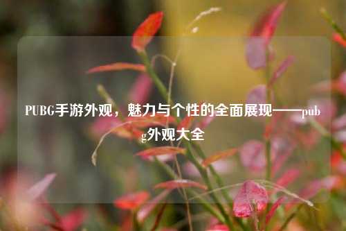 PUBG手游外观,魅力与个性的全面展现——pubg外观大全