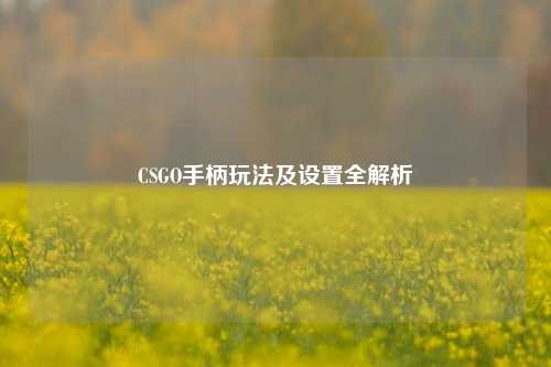 CSGO手柄玩法及设置全解析