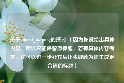 关于wdnmd_mc.pubg的探讨 (因为你没给出具体内容,所以只能保留原标题,若有具体内容需求,你可以进一步补充后让我继续为你生成更合适的标题)