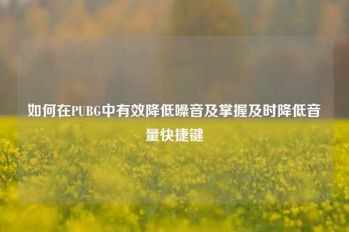如何在PUBG中有效降低噪音及掌握及时降低音量快捷键