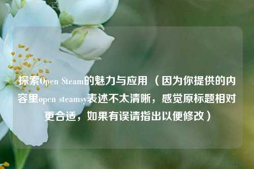 探索Open Steam的魅力与应用 (因为你提供的内容里open steamsy表述不太清晰,感觉原标题相对更合适,如果有误请指出以便修改)