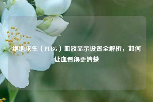 绝地求生(PUBG)血液显示设置全解析,如何让血看得更清楚