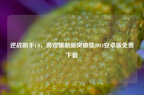 逆战助手1.0，游戏辅助新突破及2014安卓版免费下载
