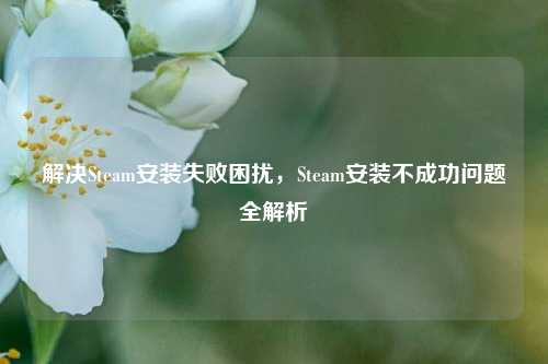 解决Steam安装失败困扰,Steam安装不成功问题全解析