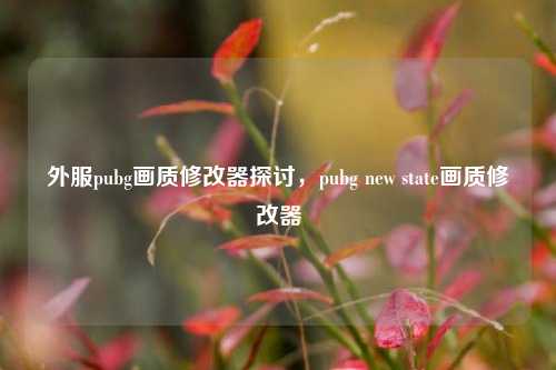 外服pubg画质修改器探讨,pubg new state画质修改器