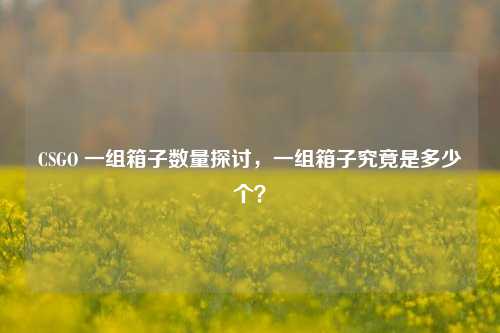 CSGO 一组箱子数量探讨,一组箱子究竟是多少个?