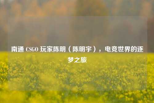 南通 CSGO 玩家陈明（陈明宇），电竞世界的逐梦之旅