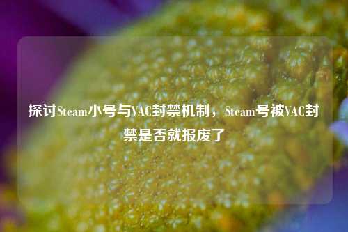 探讨Steam小号与VAC封禁机制,Steam号被VAC封禁是否就报废了