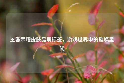 王者荣耀皮肤品质标签,游戏世界中的璀璨星光