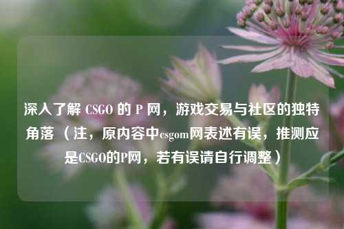 深入了解 CSGO 的 P 网,游戏交易与社区的独特角落 (注,原内容中csgom网表述有误,推测应是CSGO的P网,若有误请自行调整)