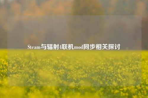 Steam与辐射4联机mod同步相关探讨