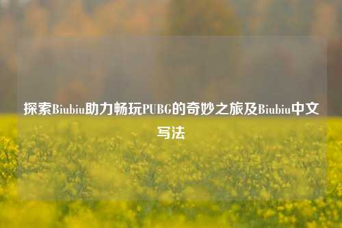 探索Biubiu助力畅玩PUBG的奇妙之旅及Biubiu中文写法